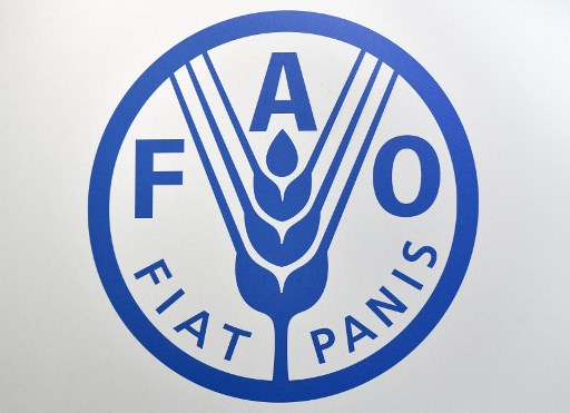 Indonesia Sudah Lama Tidak Isi Posisi Penting di FAO