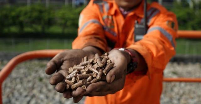 Program <i>Co-Firing</i> PLN di NTT Dorong Pariwisata Berkualitas