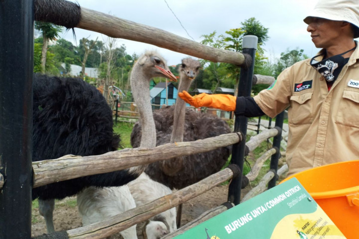 Lembang Park & Zoo Kembali Dibuka Mulai Hari Ini