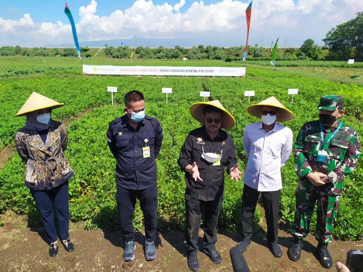 Mentan Minta Stok Kedelai Diperkuat Demi Tolak Impor