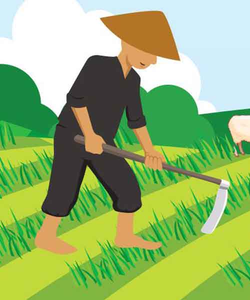 Memperkuat Ketahanan Pangan di Timur Indonesia