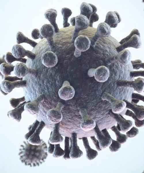 Varian Delta Lebih Menular dan Berbahaya