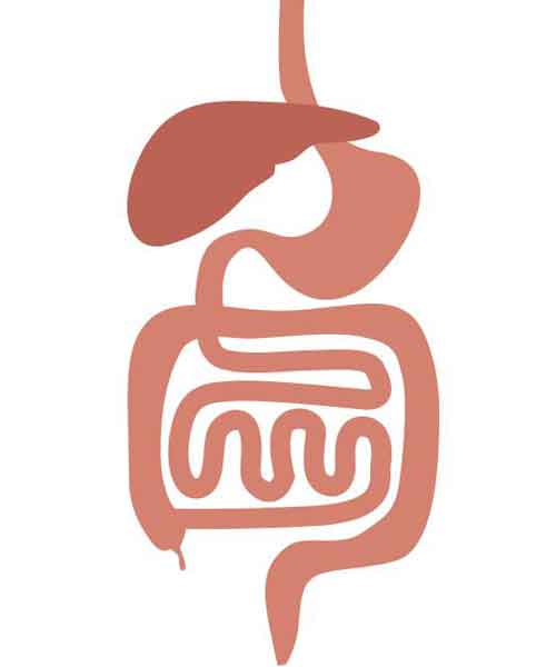 Mencegah Kejadian Efek Samping Obat