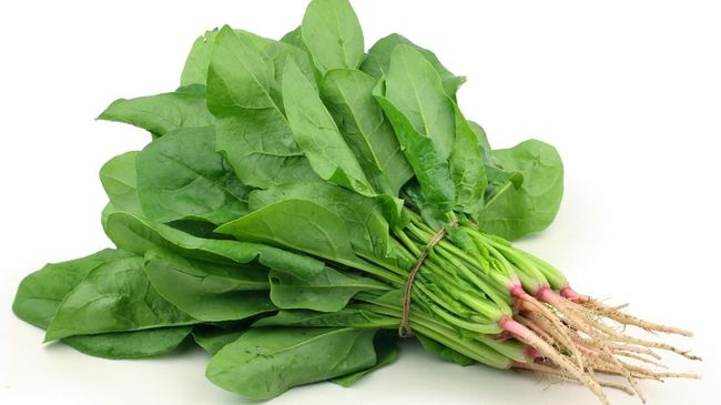 Yuk Makan Sehat, 3 Sayuran Ini Bisa Tingkatkan Imunitas Tubuh