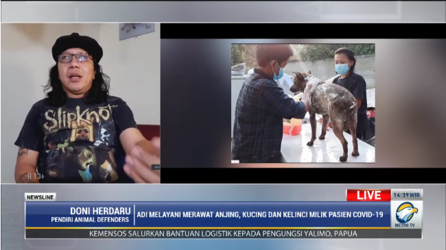 Positif Covid-19? Kelompok Ini Siap Bantu Rawat Hewan Peliharaan Anda