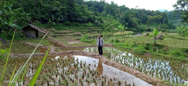 Bantuan Alsintan dari Kementan Tingkatkan Produktivitas Petani Bali