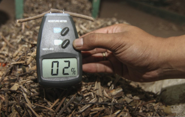 Industri Kayu Indonesia Diharap Gandeng Jepang Gali Potensi Biomassa Kayu