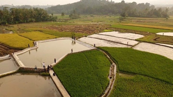 Pembangunan Embung Diharapkan Dongkrak Penghasilan Petani Pandeglang