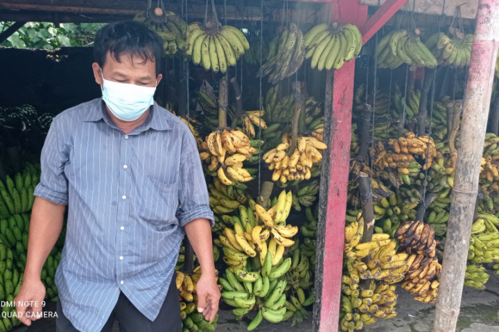 Omzet Pendapatan Pedagang Pisang di Lebak Naik