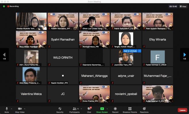 Jumlah Burung Pemangsa di Indonesia Menurun
