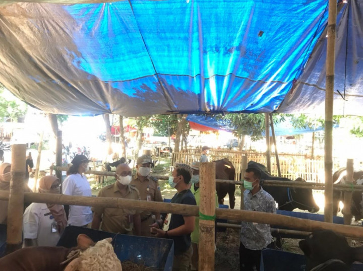 Mentan Sediakan 1,7 Juta Hewan Kurban di Seluruh Indonesia