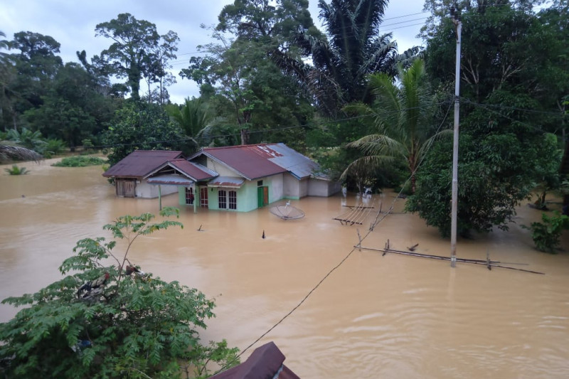 4 Kecamatan di Sintang Kalimantan Barat Masih Terendam Banjir  Medcom.id