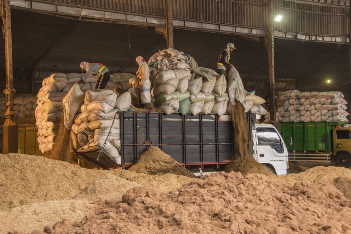 PLN Gandeng PTPN III dan Perum Perhutani Pasok Biomassa di 52 PLTU