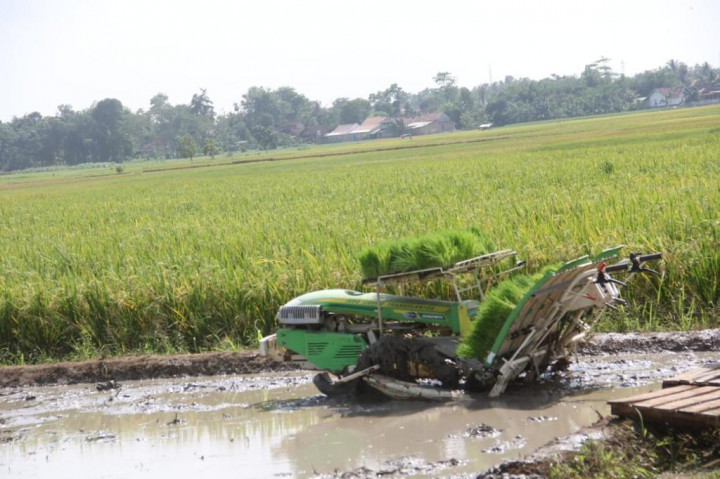Antisipasi Musim Kemarau, Petani Sukabumi Sebaiknya Proteksi Diri dengan Asuransi