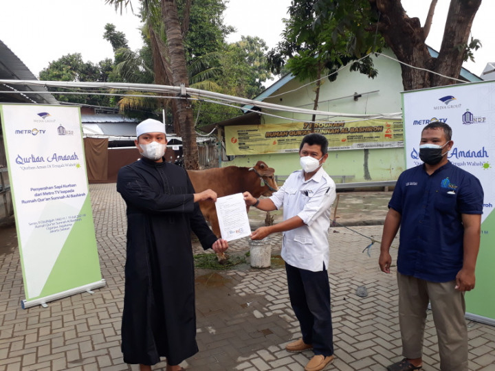 Metro TV Sumbang Sapi dan Kambing ke Rumah Qur'an Sunnah Al Bashiroh Ciganjur
