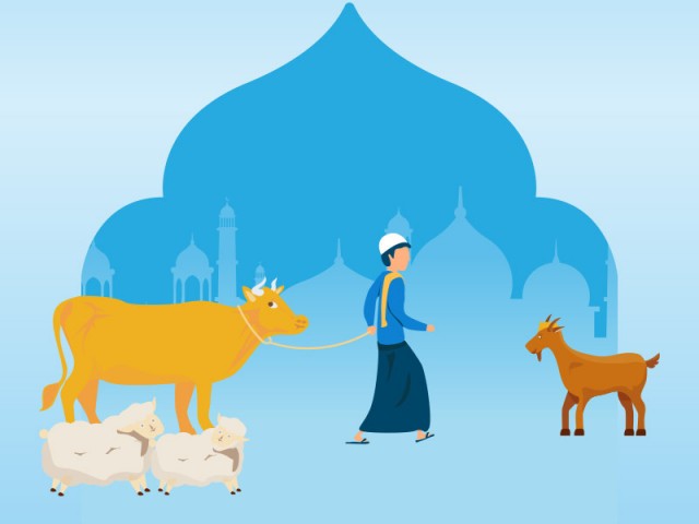 Serba-Serbi Hari Raya Iduladha 1442 H di Tiongkok