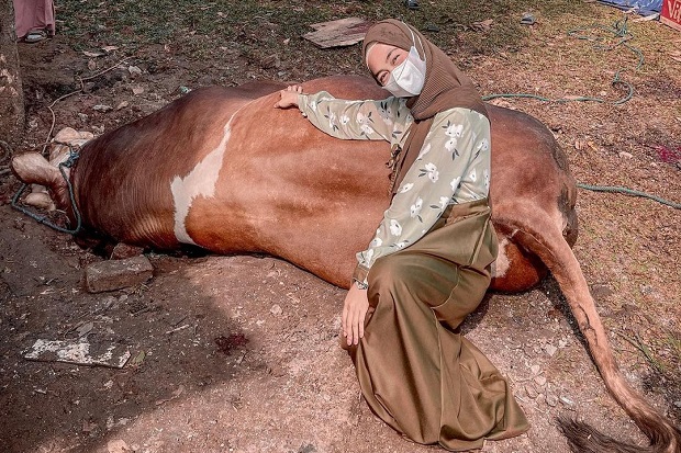 Ria Ricis Manjakan Hewan Kurbannya dengan Spa Sebelum Disembelih