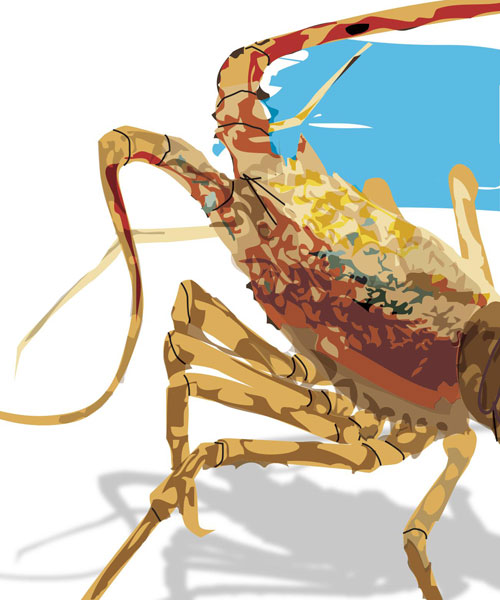 Menutup Jalur Ilegal Penyelundupan Benur