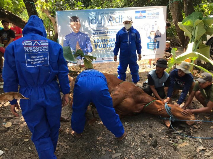 Ibas Salurkan 102 Hewan Kurban untuk Masyarakat di Jatim