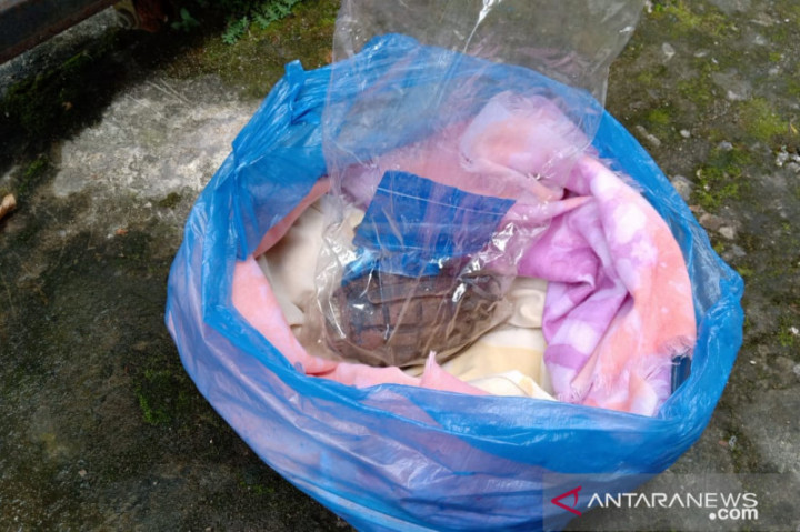 Kaget, Warga di Jambi Temukan Granat Nanas di Teras Rumah