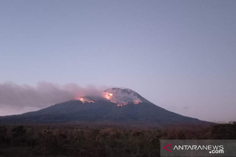Puncak gunung Ili lewotolok yang terbakar dan apinya semakin meluas. ANTARA/ho. 