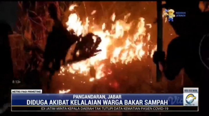 Gara-gara Bakar Sampah, 3 Hektare Lahan Perkebunan Jati Kebakaran