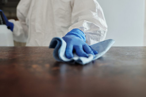 Disinfektan barang usai isoman (Foto: Ilustrasi Pexels)