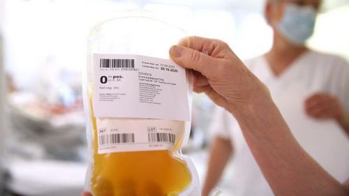 Permintaan Plasma Konvalesen di PMI Surabaya Capai 100 per Hari