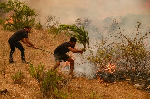 Kebakaran Hutan di Turki Tewaskan 4 Orang