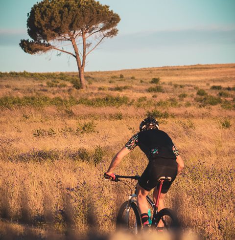 Apakah Bersepeda Berlebihan Sebabkan Sulit Ereksi?