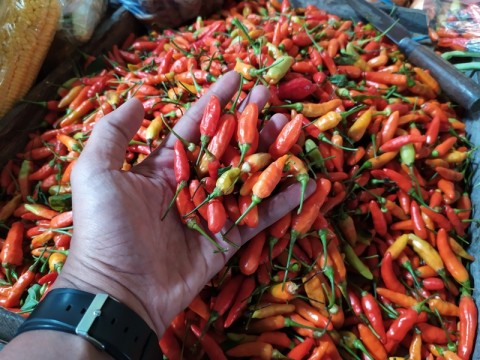 Harga cabai rawit menjadi salah satu penyumbang inflasi. Foto: Medcom.id/Daviq Umar.