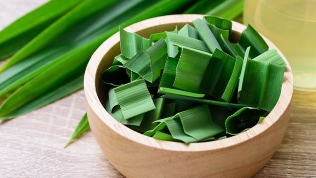 Ini tujuh olahan daun pandan. (Foto: Dok. Endeus)