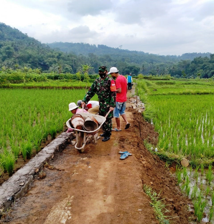 Kehadiran Jalan Pertanian di Ciamis Genjot Produktivitas Petani