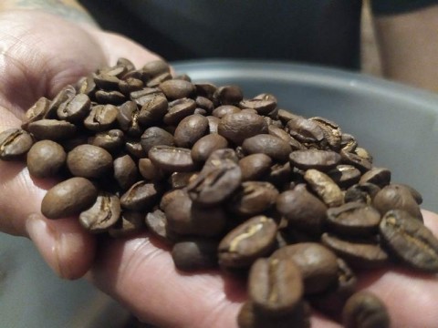 Kopi. Foto : Medcom.id.