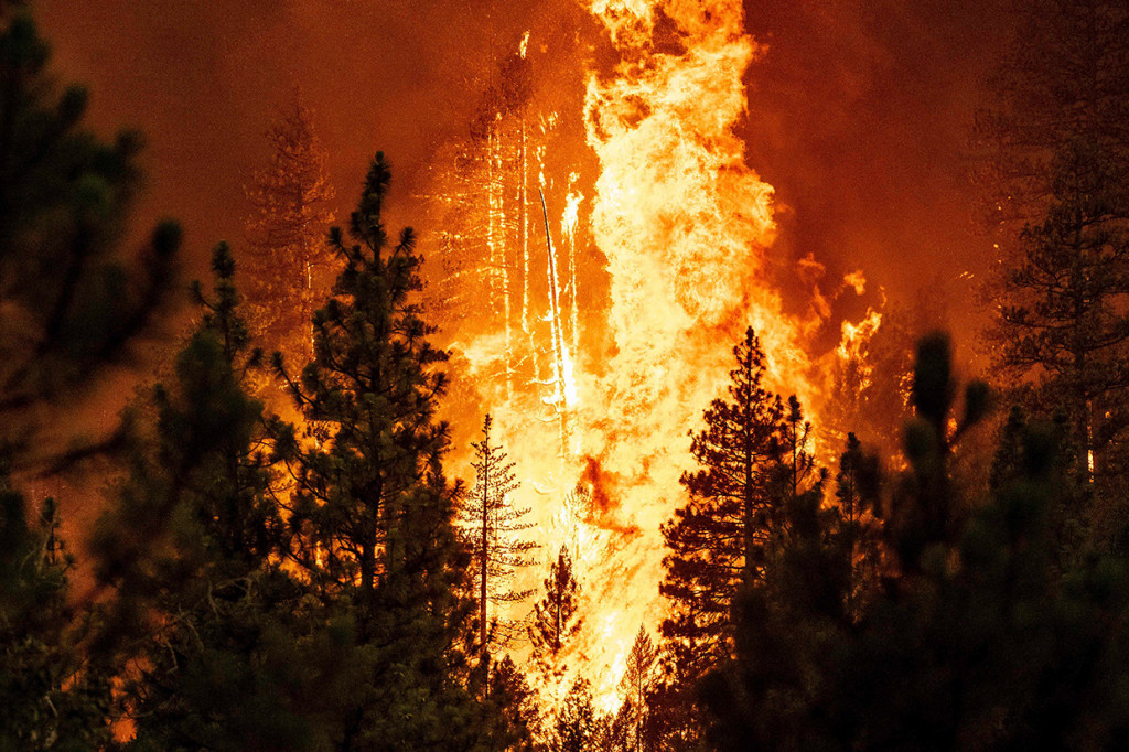 Foto: Kebakaran Hebat Landa Hutan California