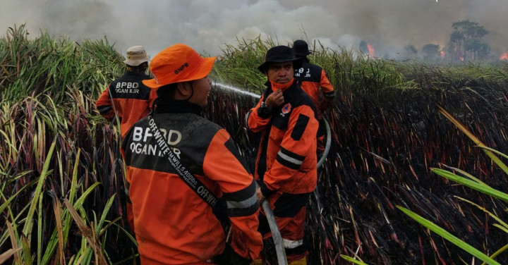 500 Hektare Lahan di Pemulutan Sumsel Terbakar dalam Sepekan