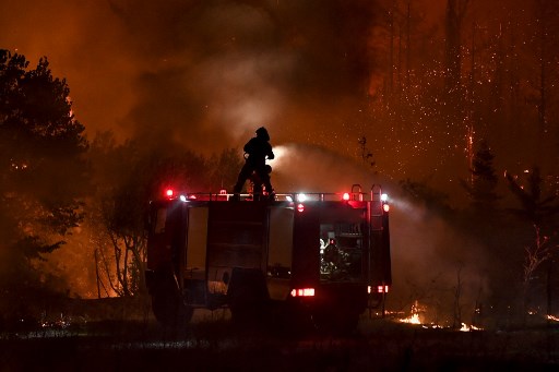 Petugas Pemadam Yunani Tewas saat Berupaya Lawan Kebakaran Hutan