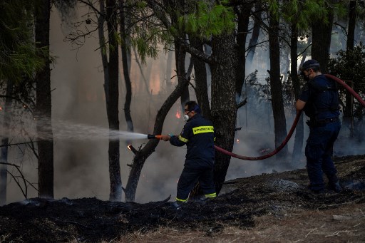 Ribuan Petugas Pemadam Kebakaran Yunani Terus Berjuang Atasi Kebakaran Hutan