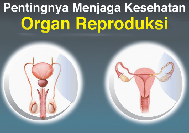 Pentingnya Menjaga Kesehatan Organ Reproduksi