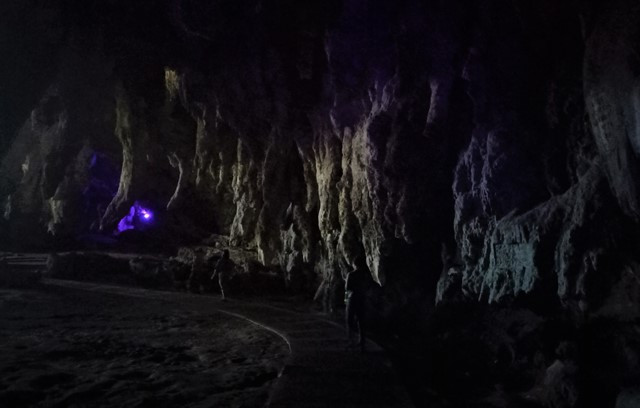 Muncul di Guinea, Ini Asal Mula Virus Marburg