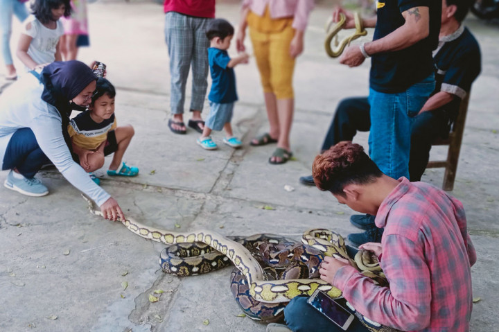 Potret Upaya Pengenalan Reptil Sejak Dini