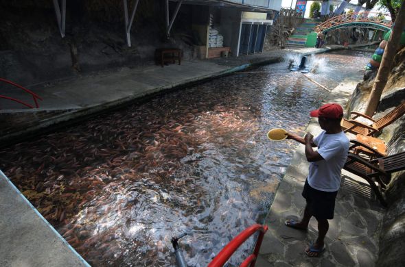 Dongkrak Produktivitas Budi Daya Perikanan Lewat Pinjaman Modal