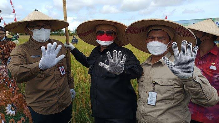 Upayakan Sambas Jadi Lumbung Beras, Wamentan: Presiden Indonesia Sentris