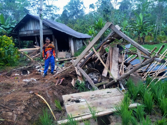 Cari Makan, Kawanan Gajah Merusak Gubuk Warga di Lampung Barat