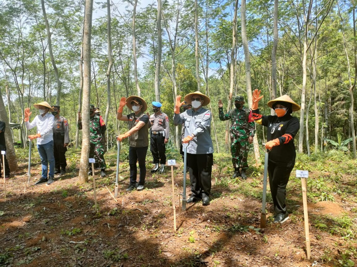 Porang Makin Populer, Wamentan Sarankan Pemkab Buat Perusahaan Daerah