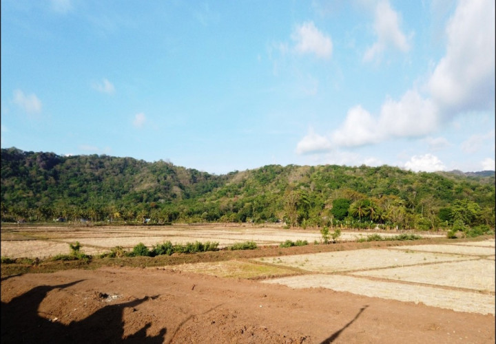 Disita untuk Kasus BLBI, Aset Tanah di Karawaci Bernilai Rp1,33 Triliun