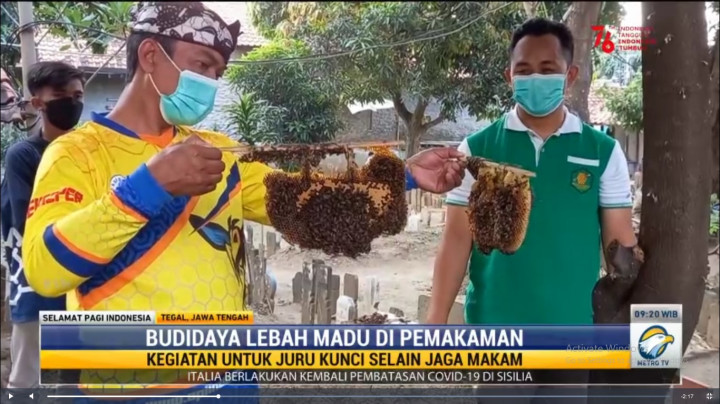 Budi Daya Lebah Madu di Pemakaman