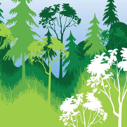 Mempertahankan Keberlangsungan Paru-Paru Dunia di Amerika Selatan