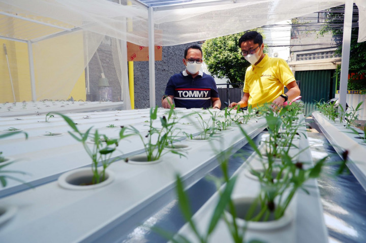 WOM Finance Dorong Masyarakat Optimalkan Usaha Sayuran saat Pandemi