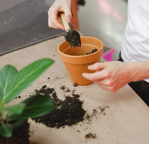 Ingin Membuat Kompos, Hindari 5 Limbah Ini!